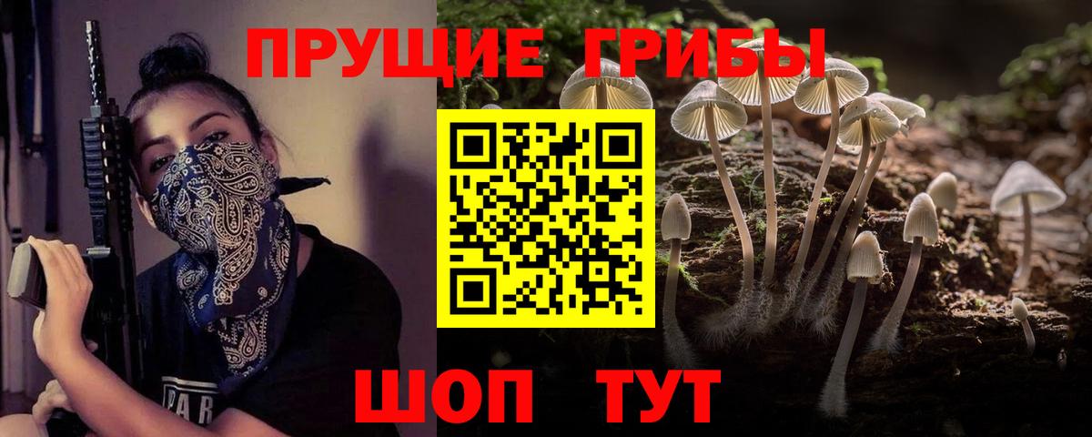 Псилоцибиновые грибы мухоморы Нальчик