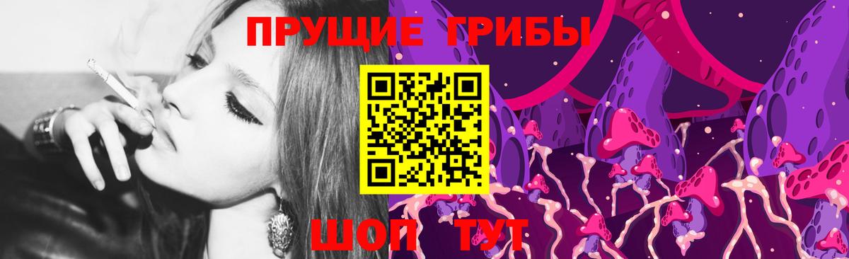 купить наркотики сайты  Вход с VPN  Нальчик  Галлюциногенные грибы GOLDEN TEACHER 
